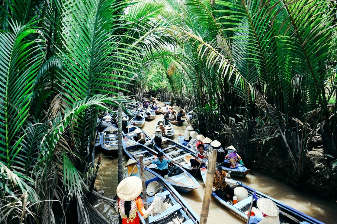 Traditional boats navigating a tropical river